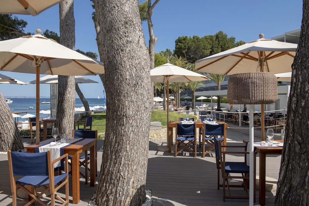 Melia Calvia Beach 35/50
