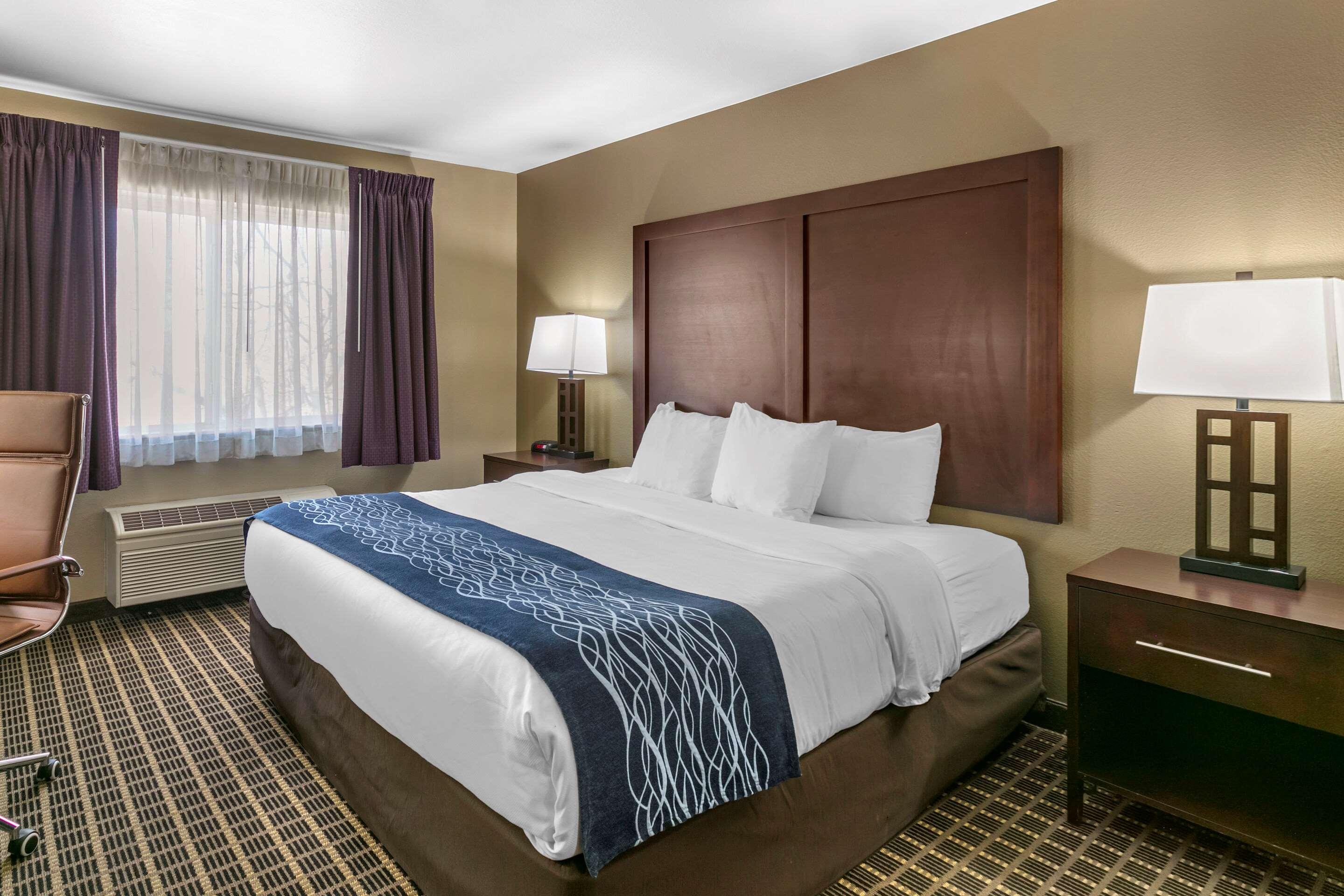 SUITE, KING BED, ACCESSIBLE
