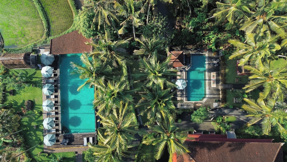 The Artini Resort 42/50