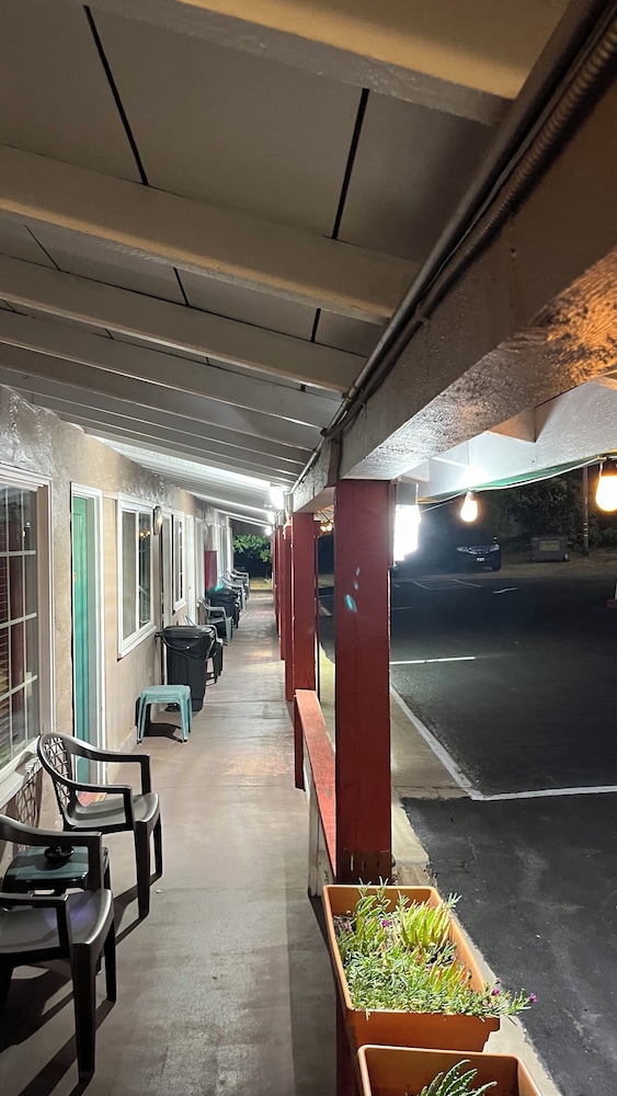 Jumping Frog Motel 41/67