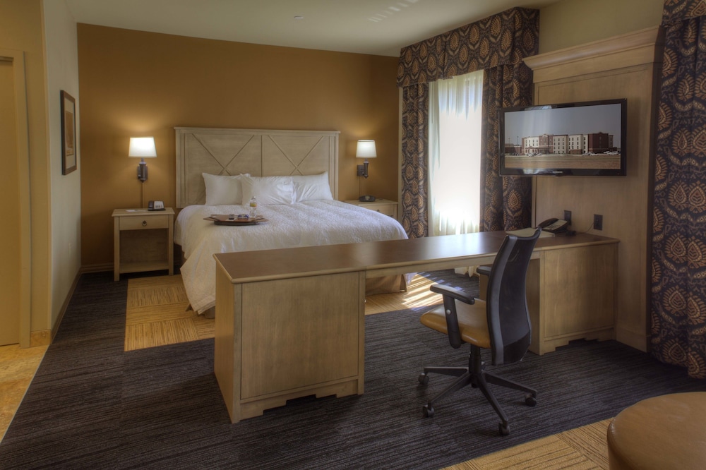 Hampton Inn Suites Dodge City 20/38