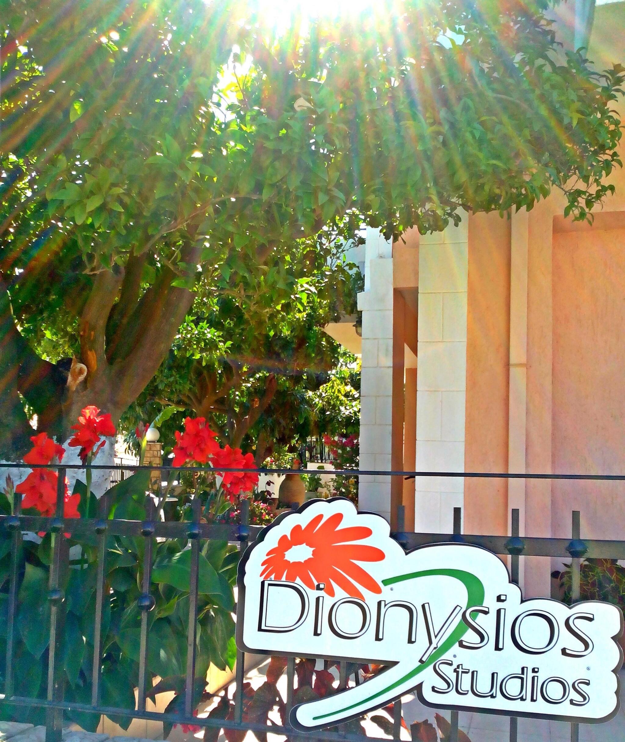 Dionysios Studios 4/50