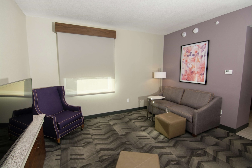 Hilton Garden Inn Tampa Suncoast Parkway 41/53