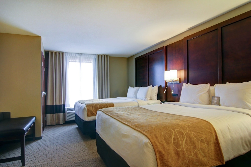Comfort Suites Carlsbad 11/48