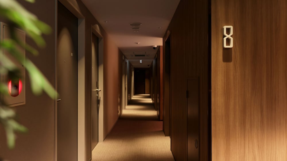 Dotombori Crystal Hotel 3 18/31