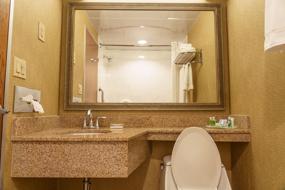 Holiday Inn New Orleans - Downtown Superdome 22/61