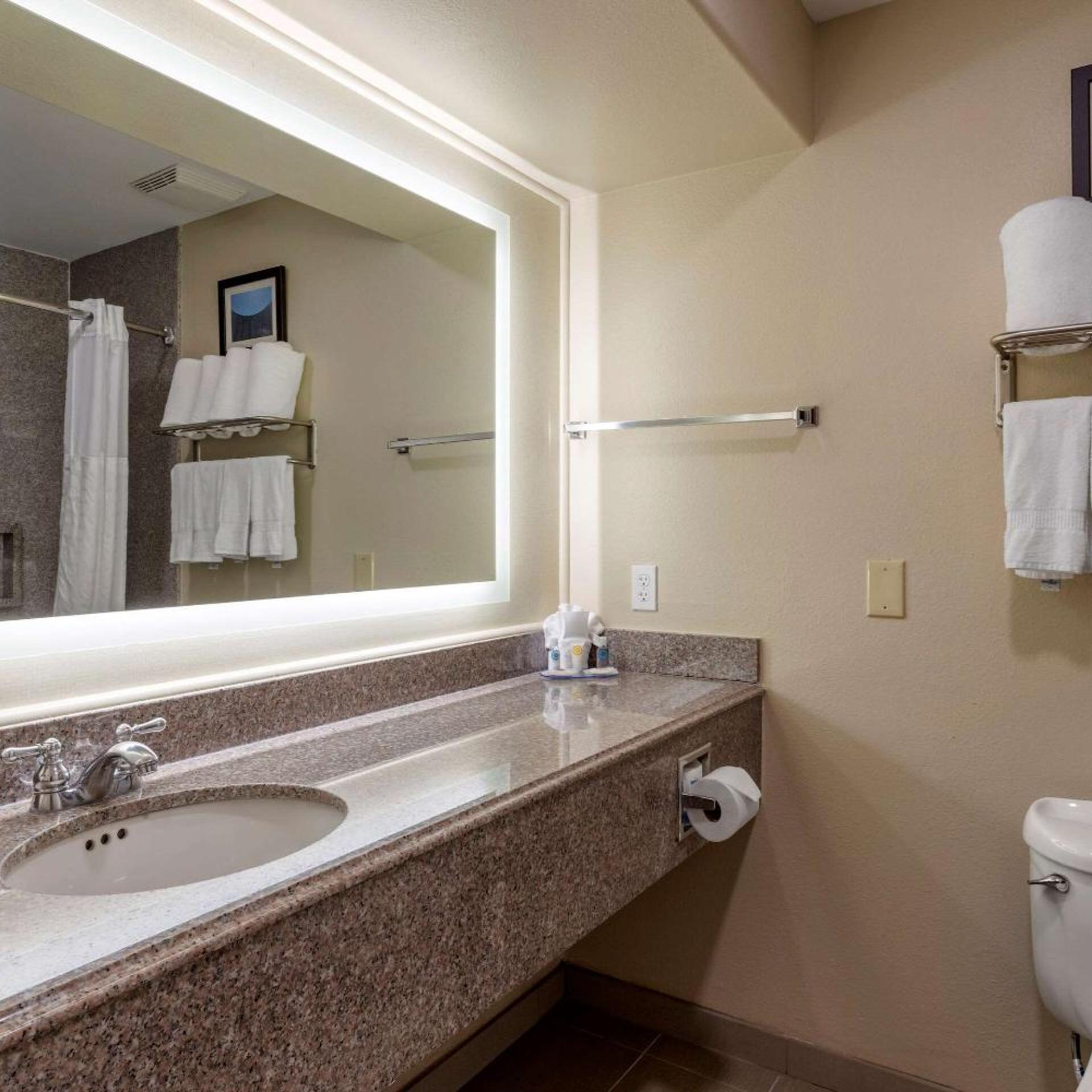 1 Bedroom, Suite, Sofa, Accessible, Comfort Suites Houston near Medical Center- NRG Stadium 5/7
