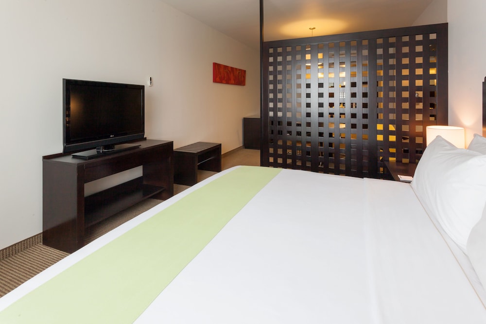 Holiday Inn Express Guadalajara Iteso 16/72