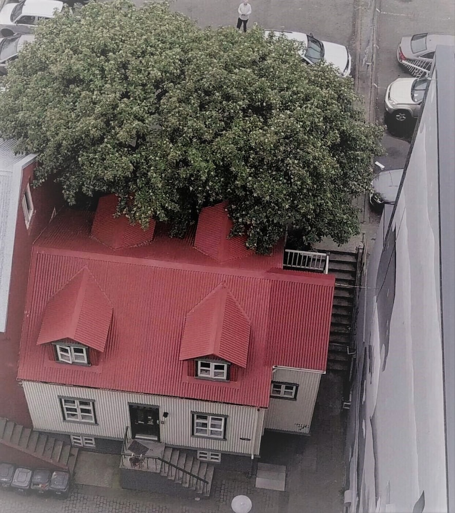 Grettir Guesthouse 4/48