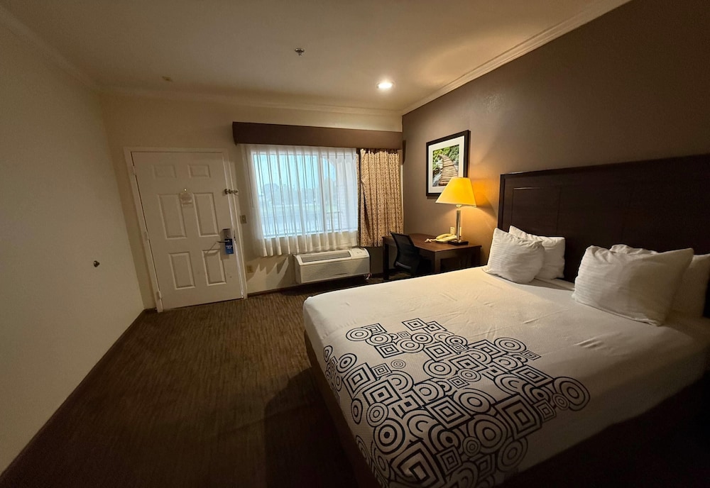 Room, King Bed, Accessible