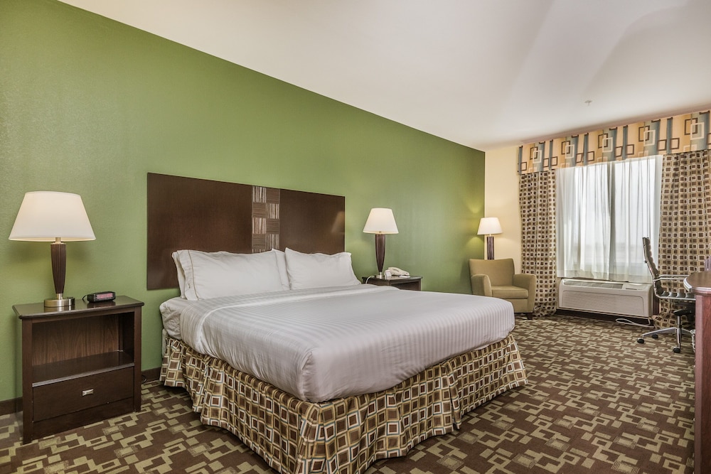 Holiday Inn Express Hotel Suites Dumas 36/72