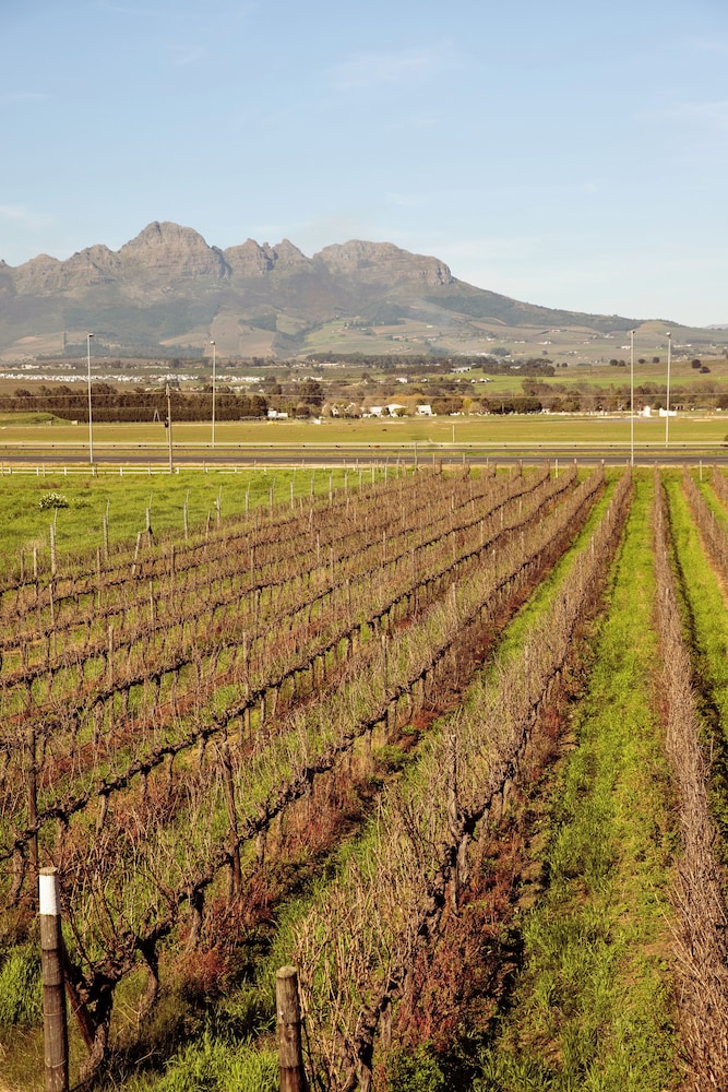 Lovane Boutique Wine Estate & Guesthouse 41/48
