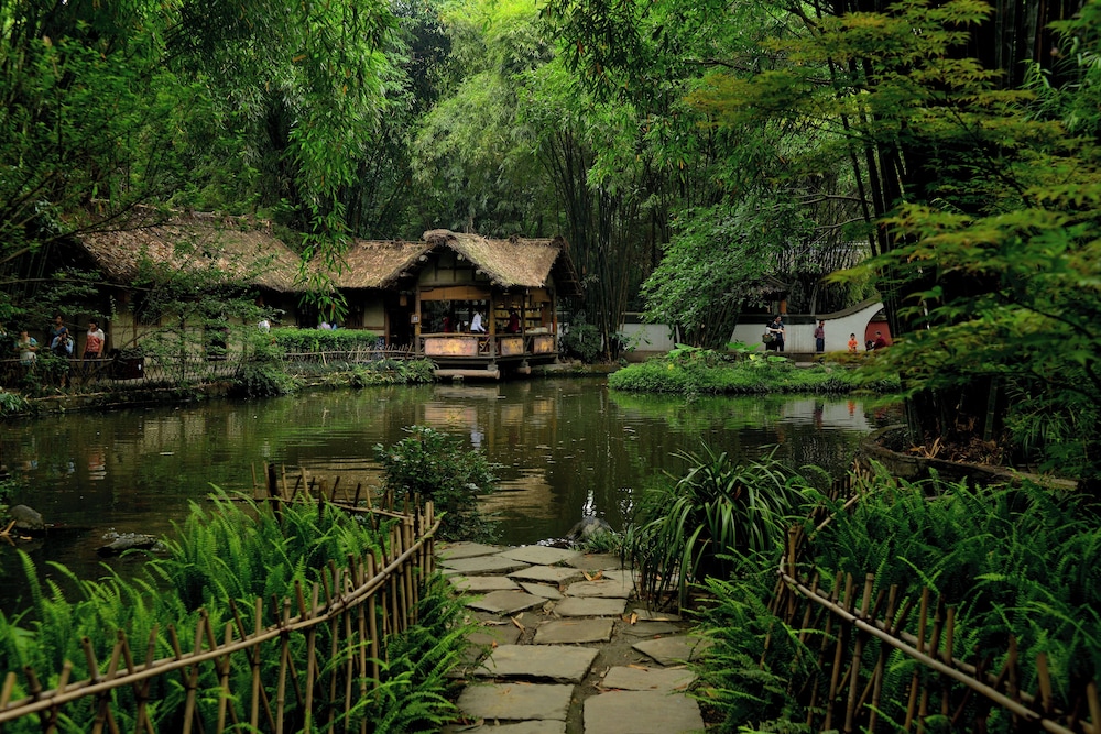 surroundings