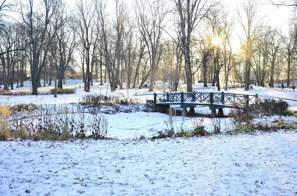 surroundings