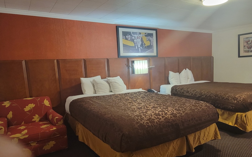 M Star Cedar City 33/50