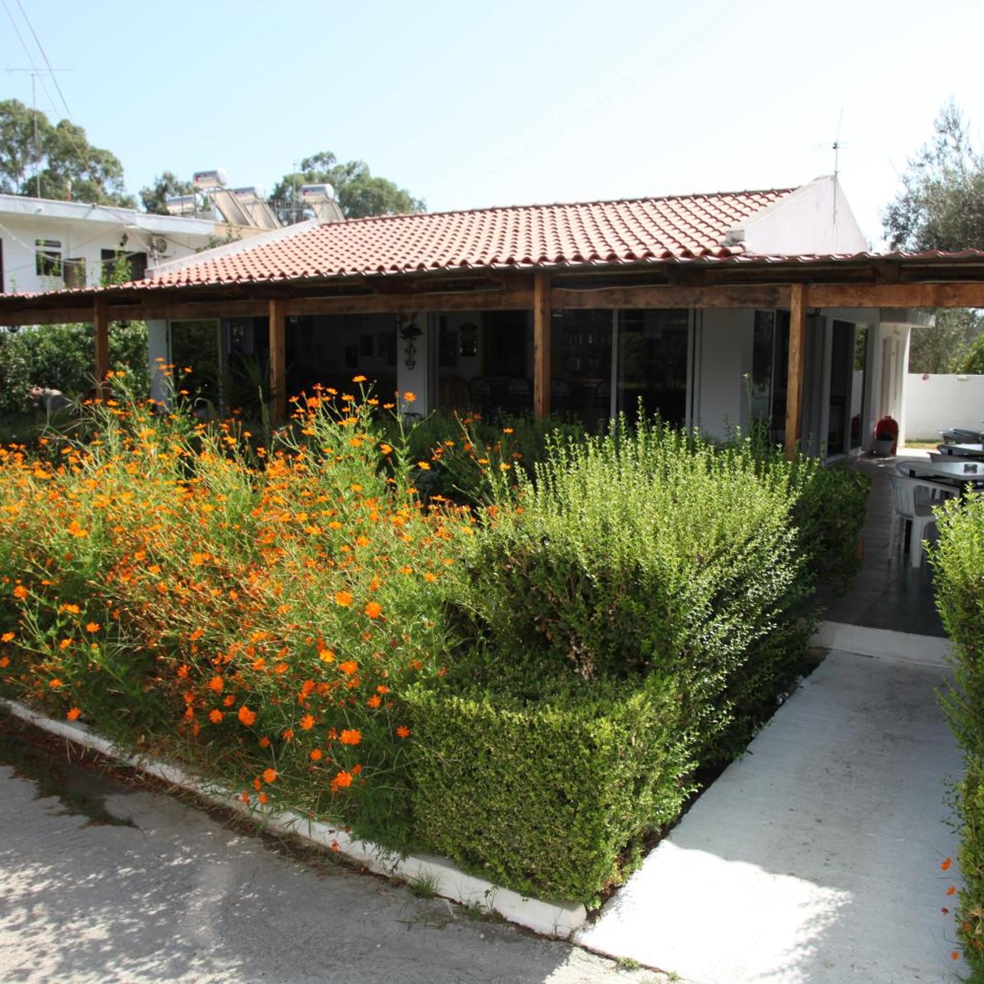 Despina Hotel in Afandou