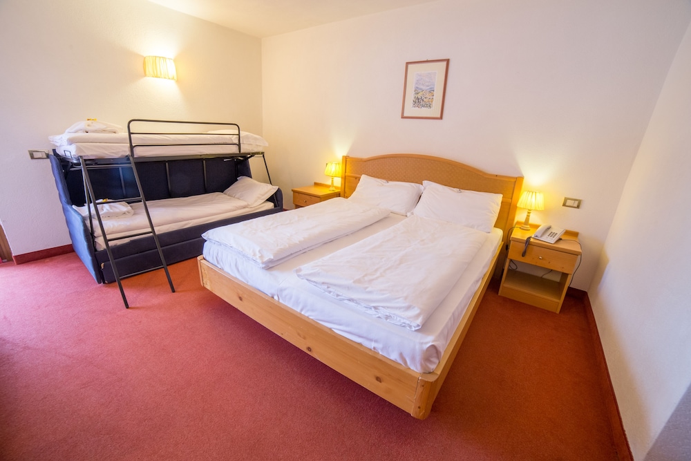 Hotel Grizzly 11/50