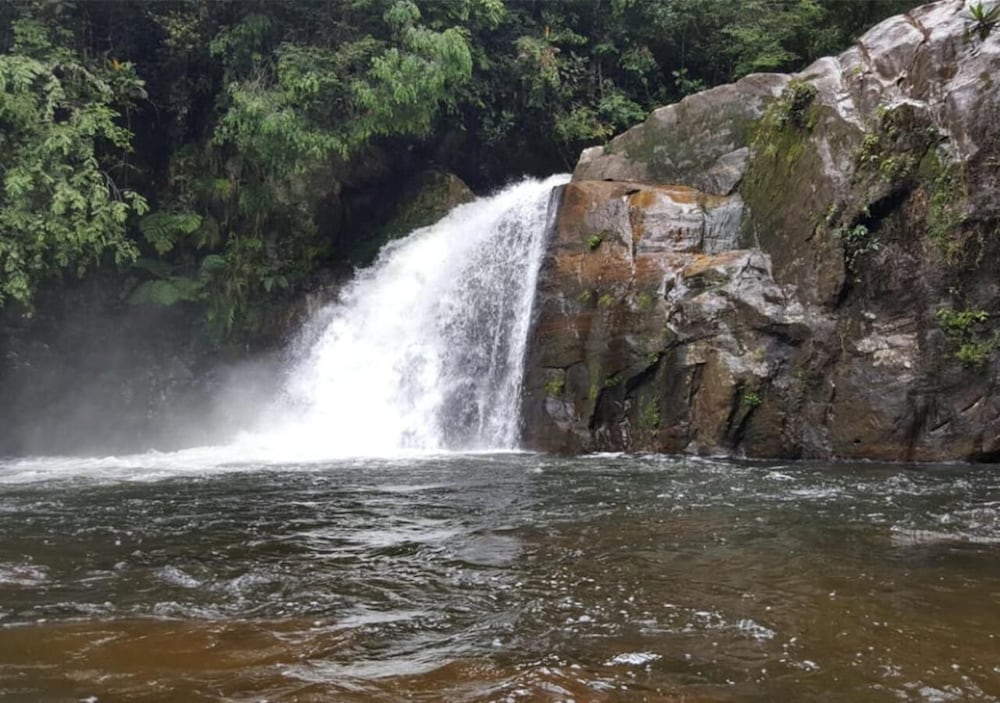 Sinharaja Rainforest View Villas 31/50