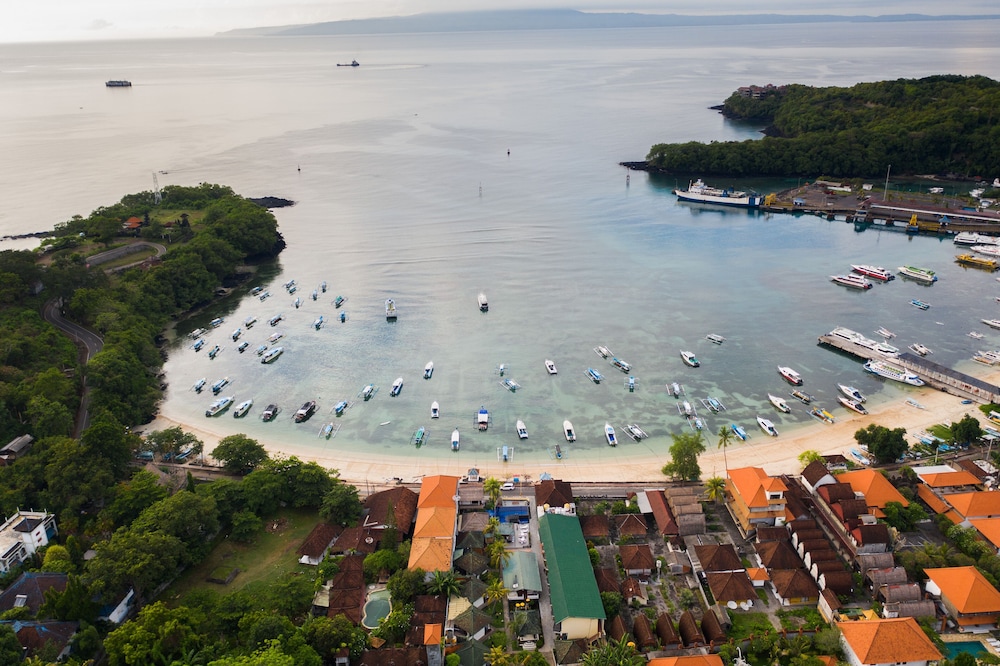 Absolute Scuba Bali Dive Resort 37/50
