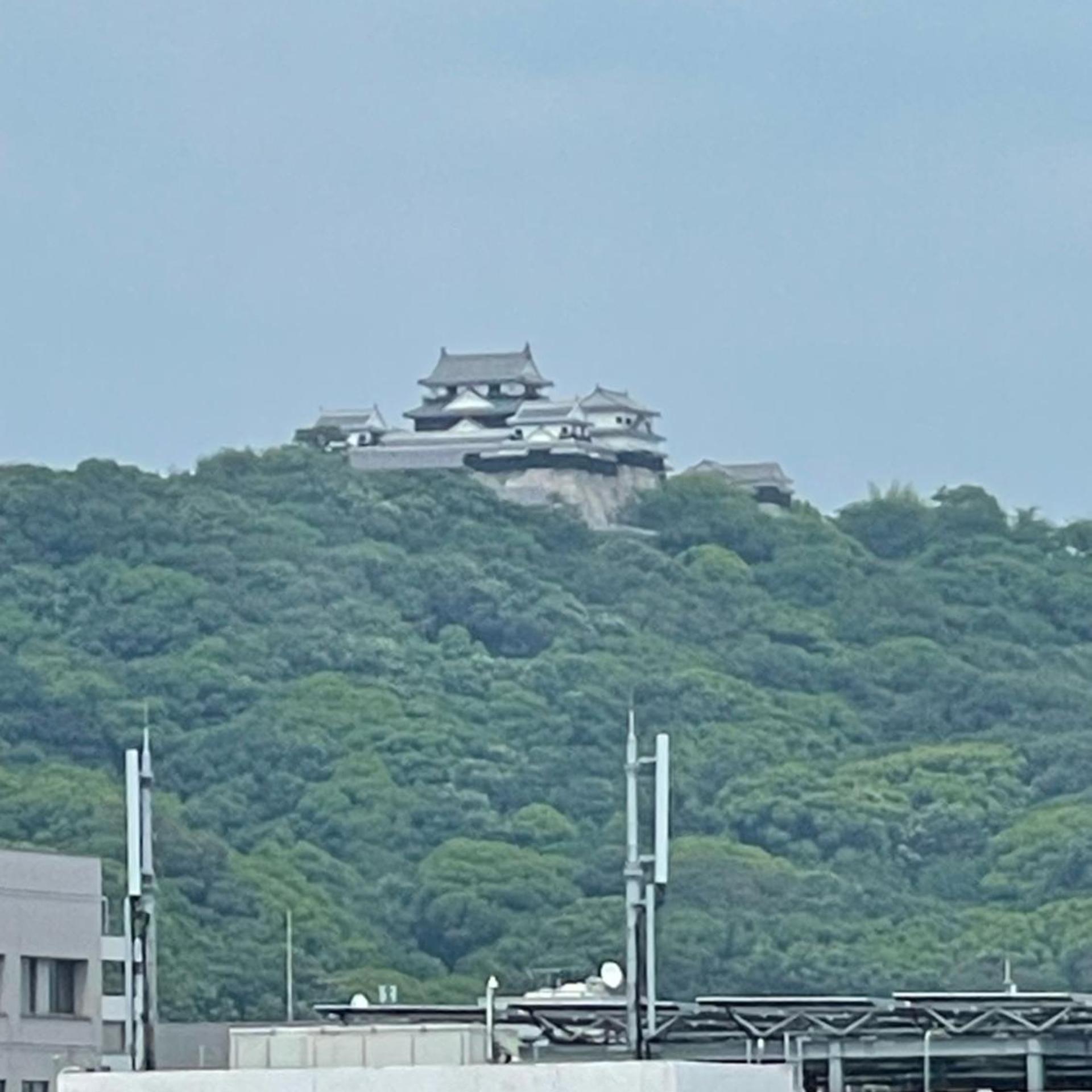 Terminal Hotel Matsuyama 33/36