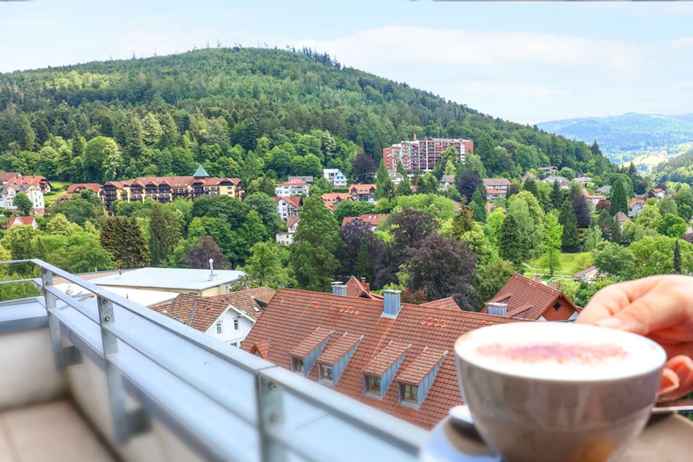 Schwarzwald Panorama 4/50