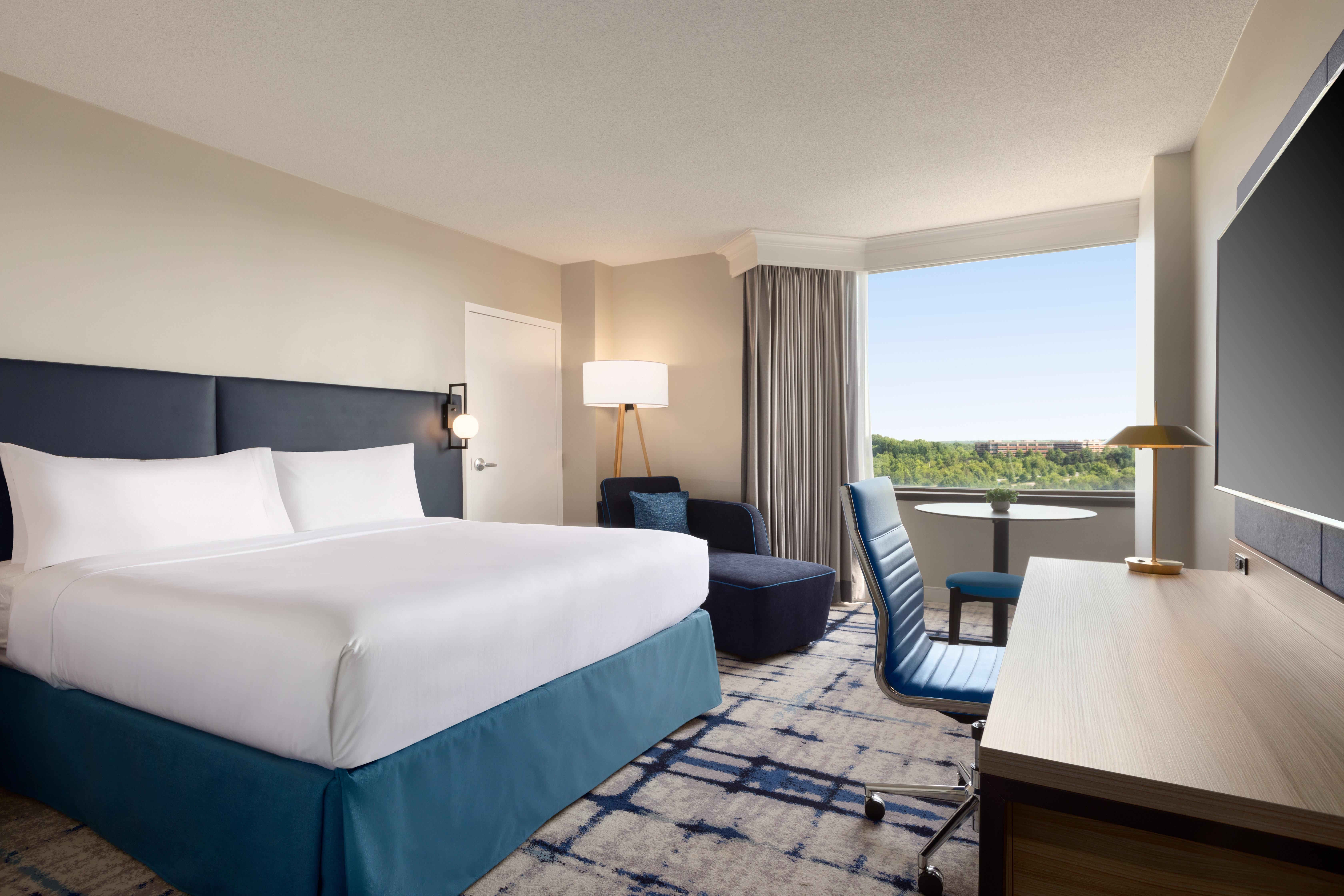 Room, King Bed