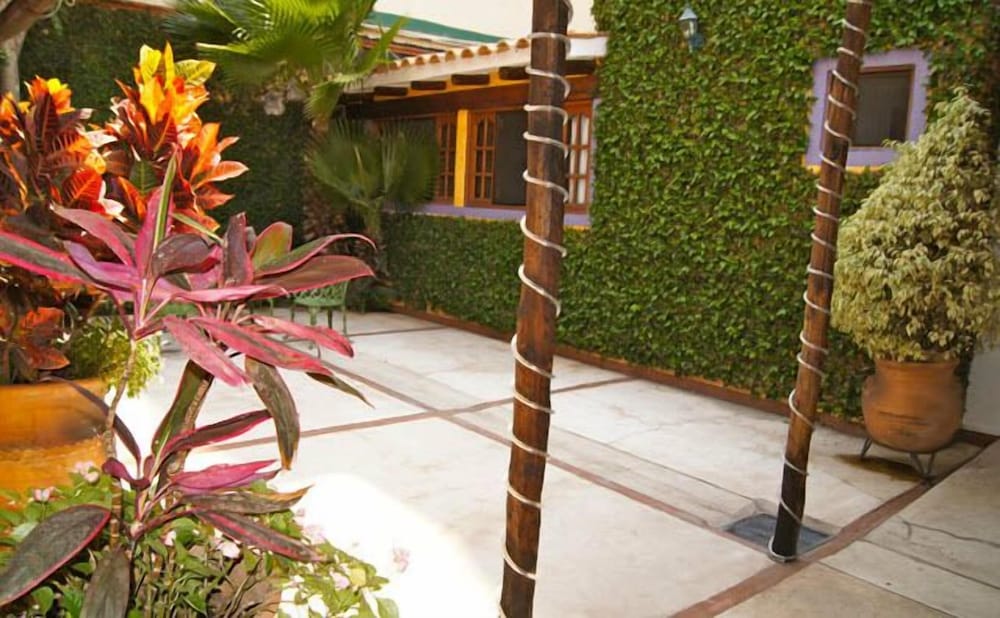 Suites Colibrí 22/23