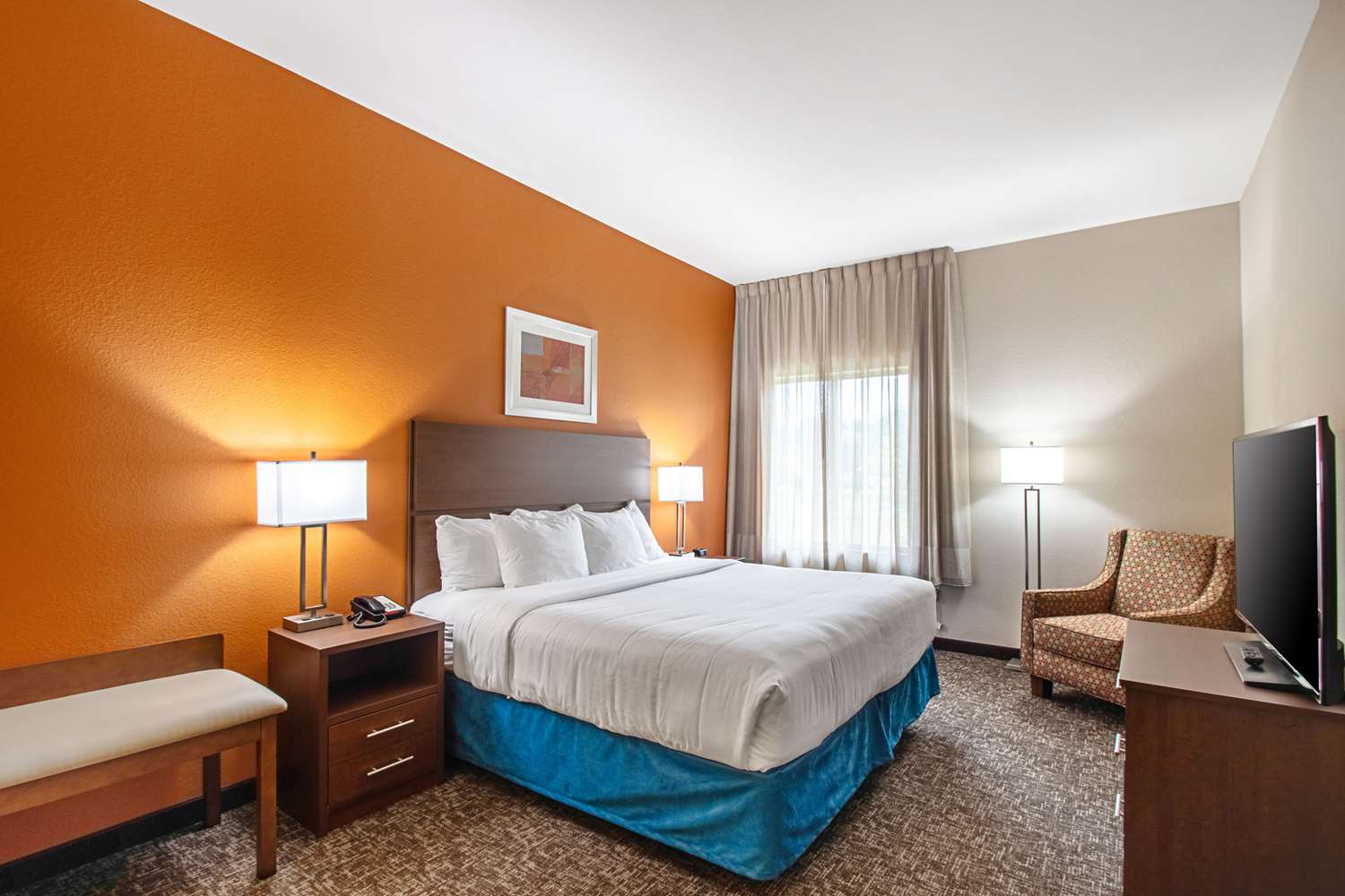 Suite, King Bed