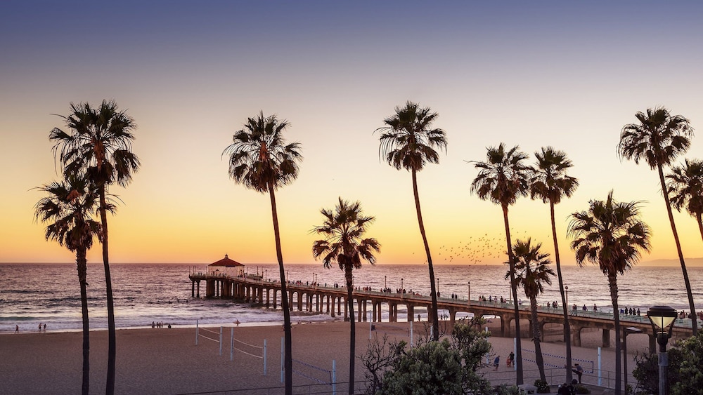 Holiday Inn Los Angeles - Lax Airport 49/51