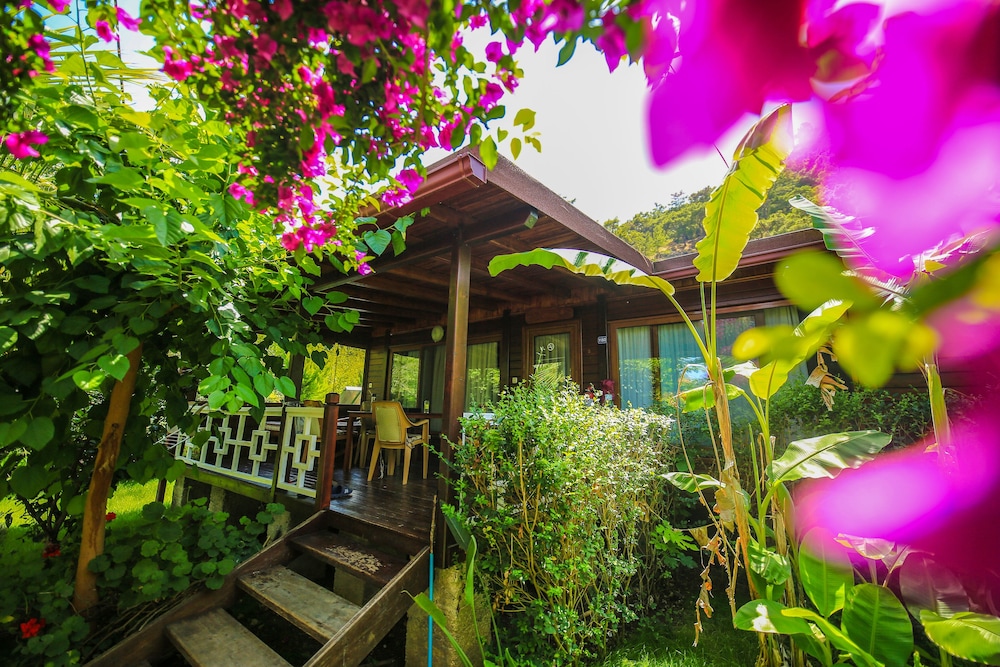 Cirali Villa Zeytin 39/50
