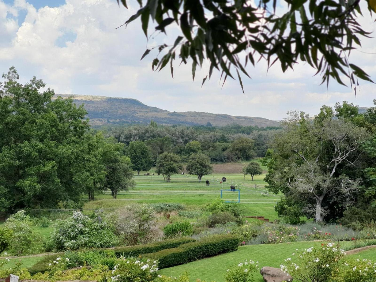 Black Horse Estate 38/50