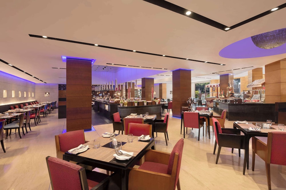Radisson Blu Plaza Hotel Delhi Airport 54/76