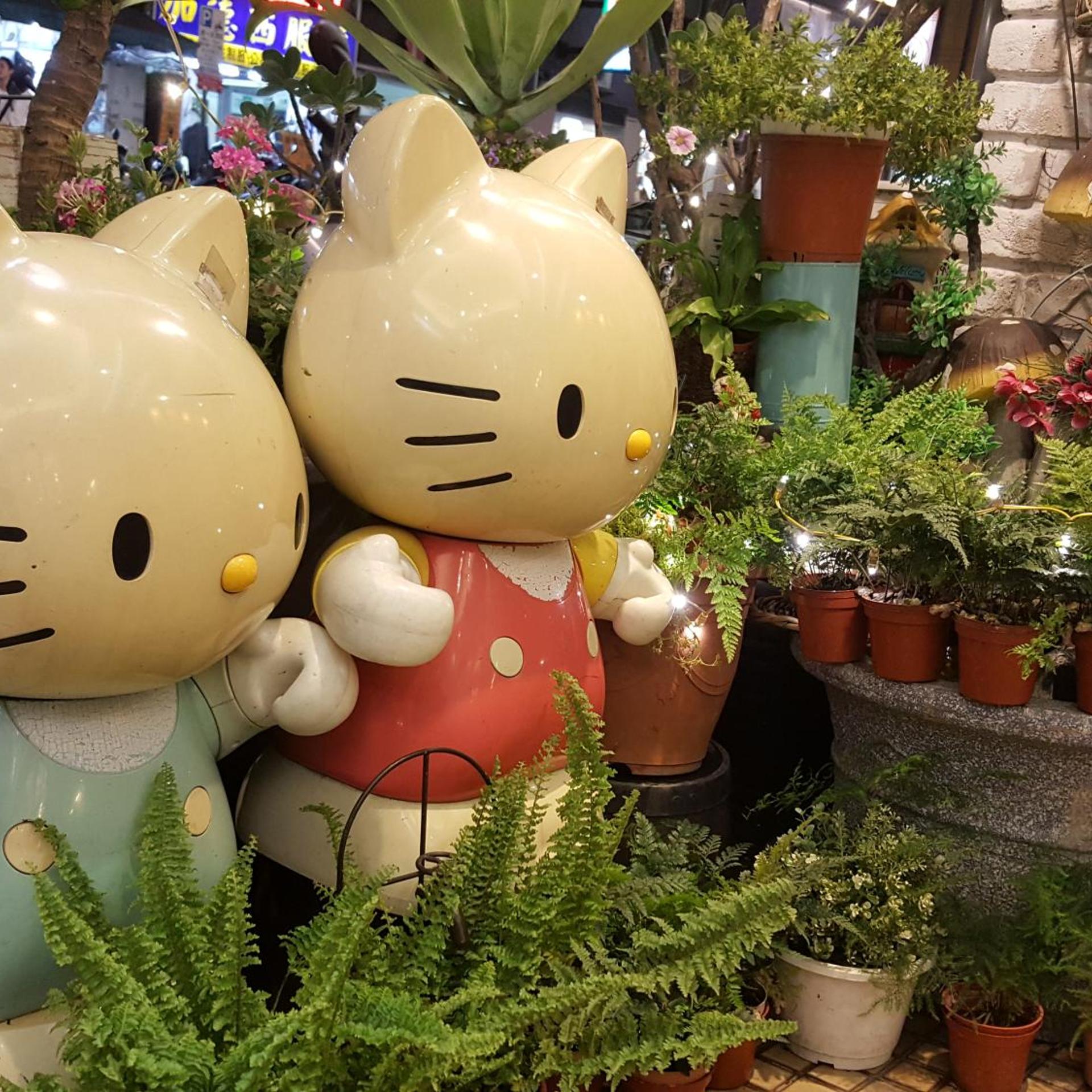 Taipei City Hostel 7/100