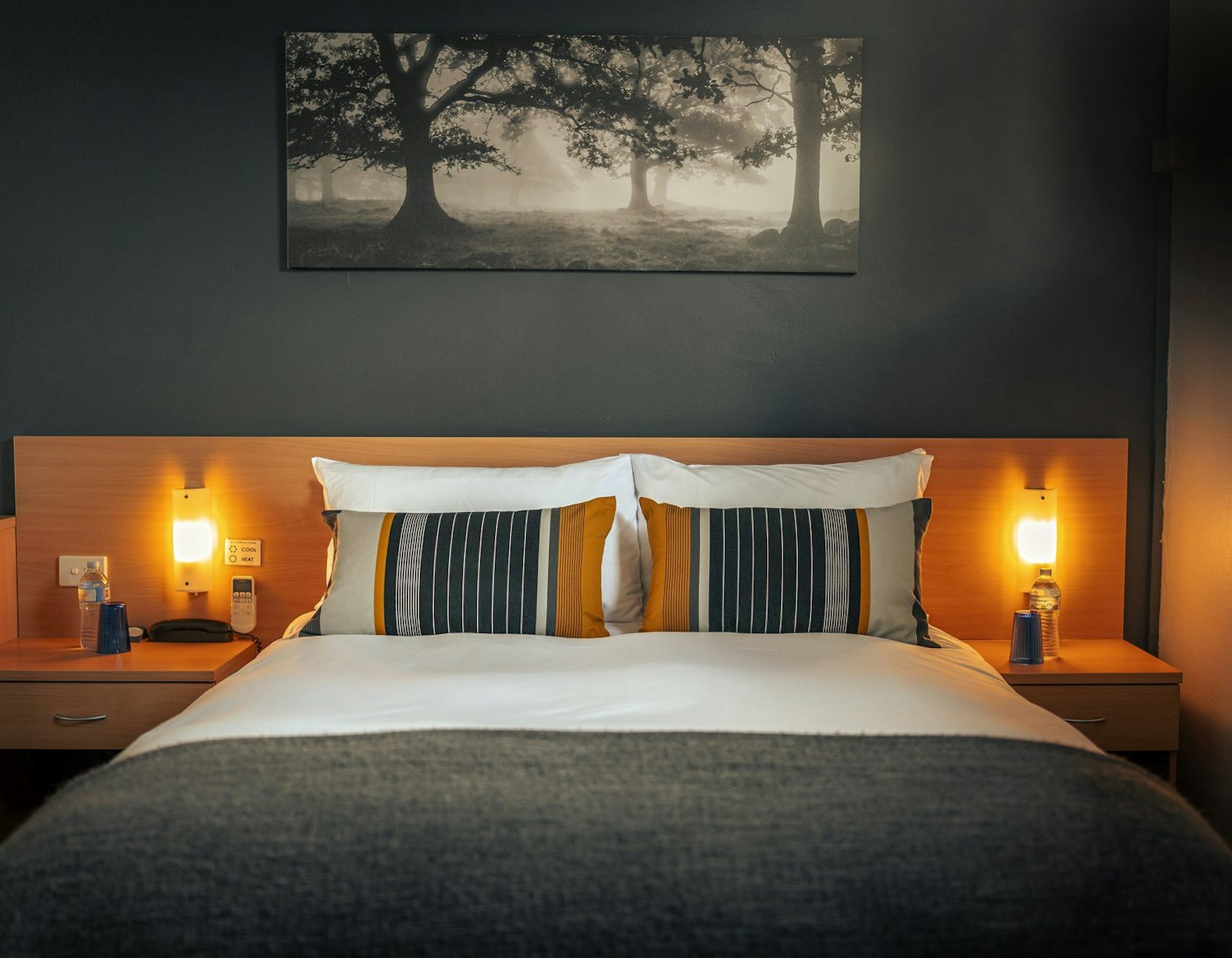 The Oriana Orange 10/51