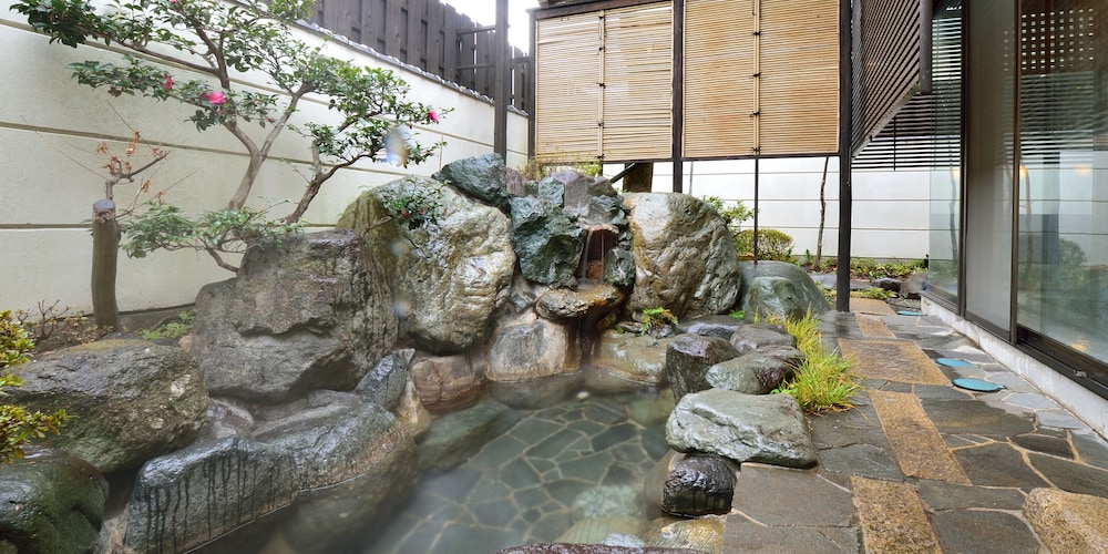Hotel Hagoromo 24/50