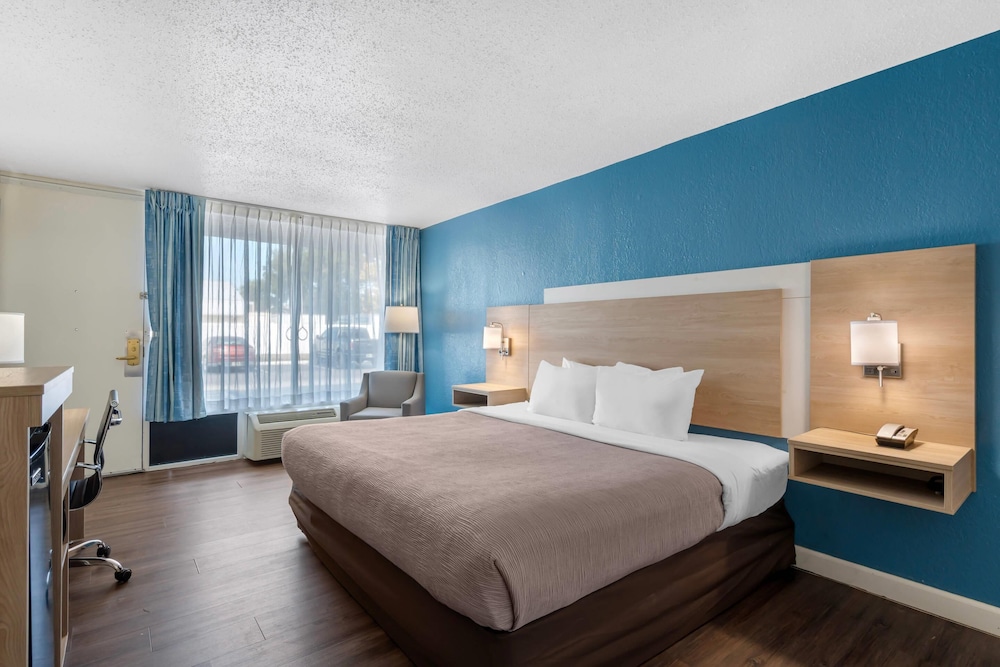 Room, King Bed