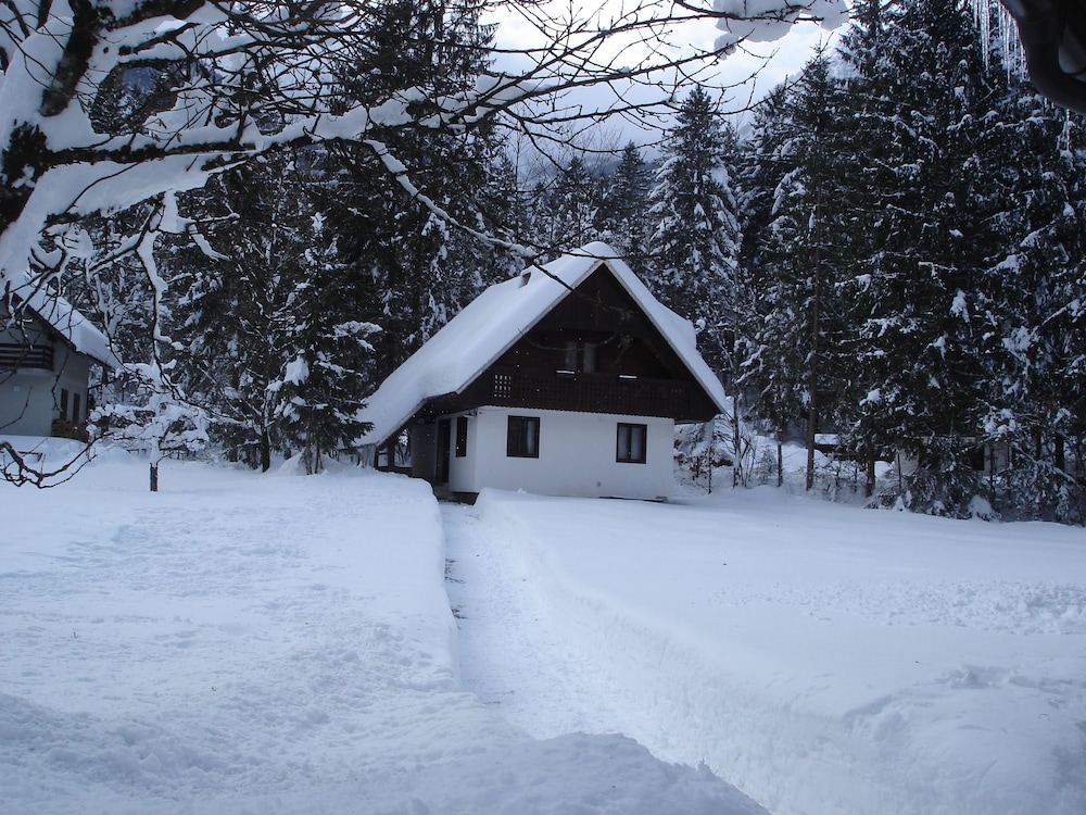 Apartmaji In Sobe Bohinjsko Jezero 4/31