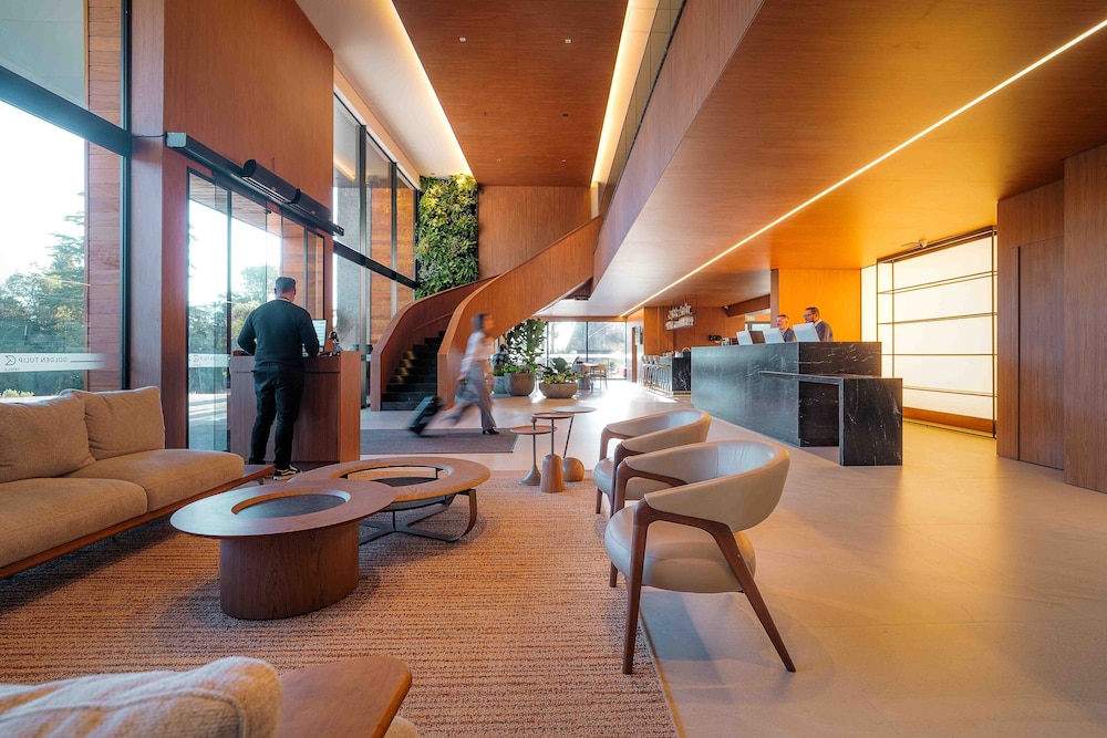 Golden Tulip Canela By Liva 45/59