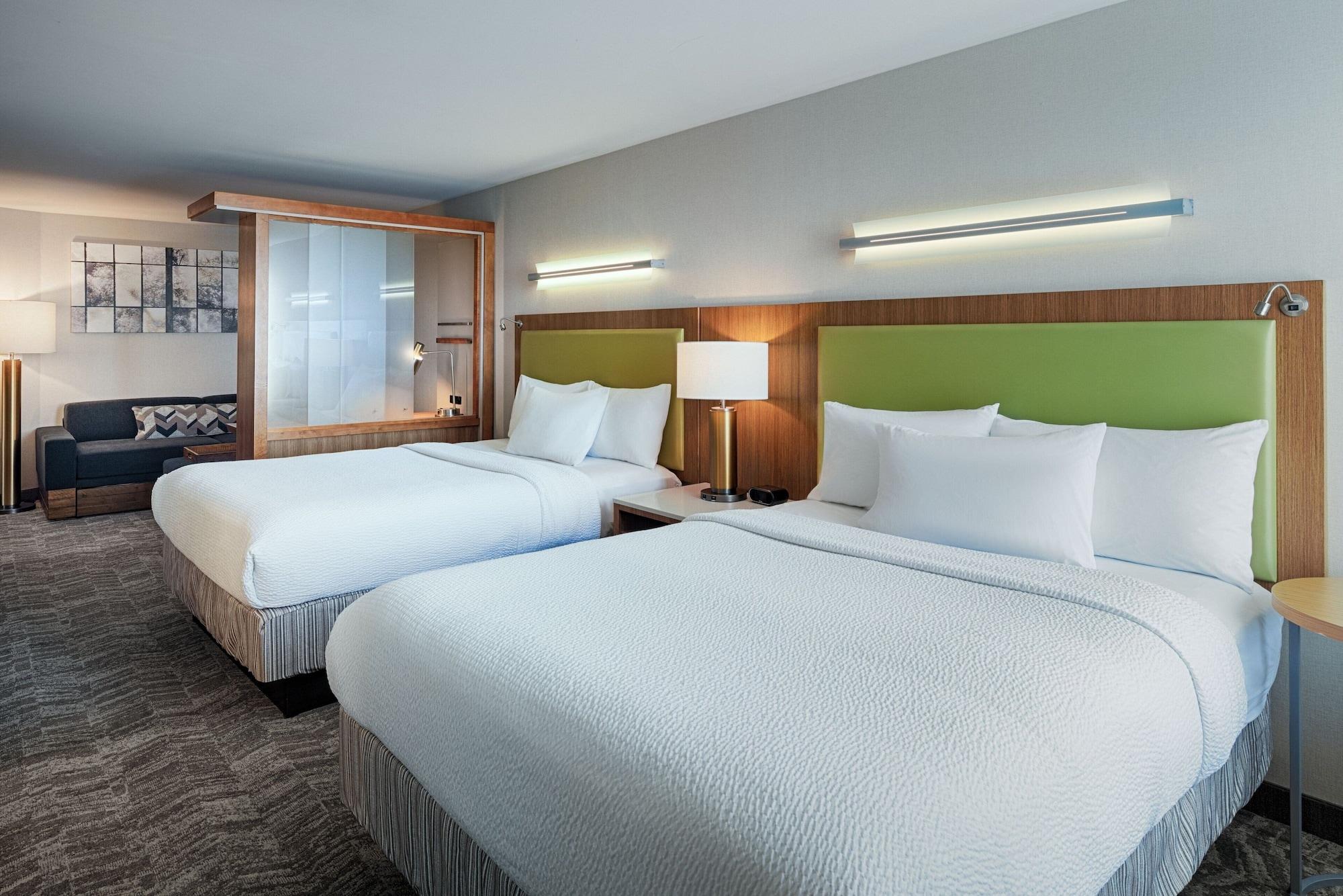 Suite, Multiple Beds