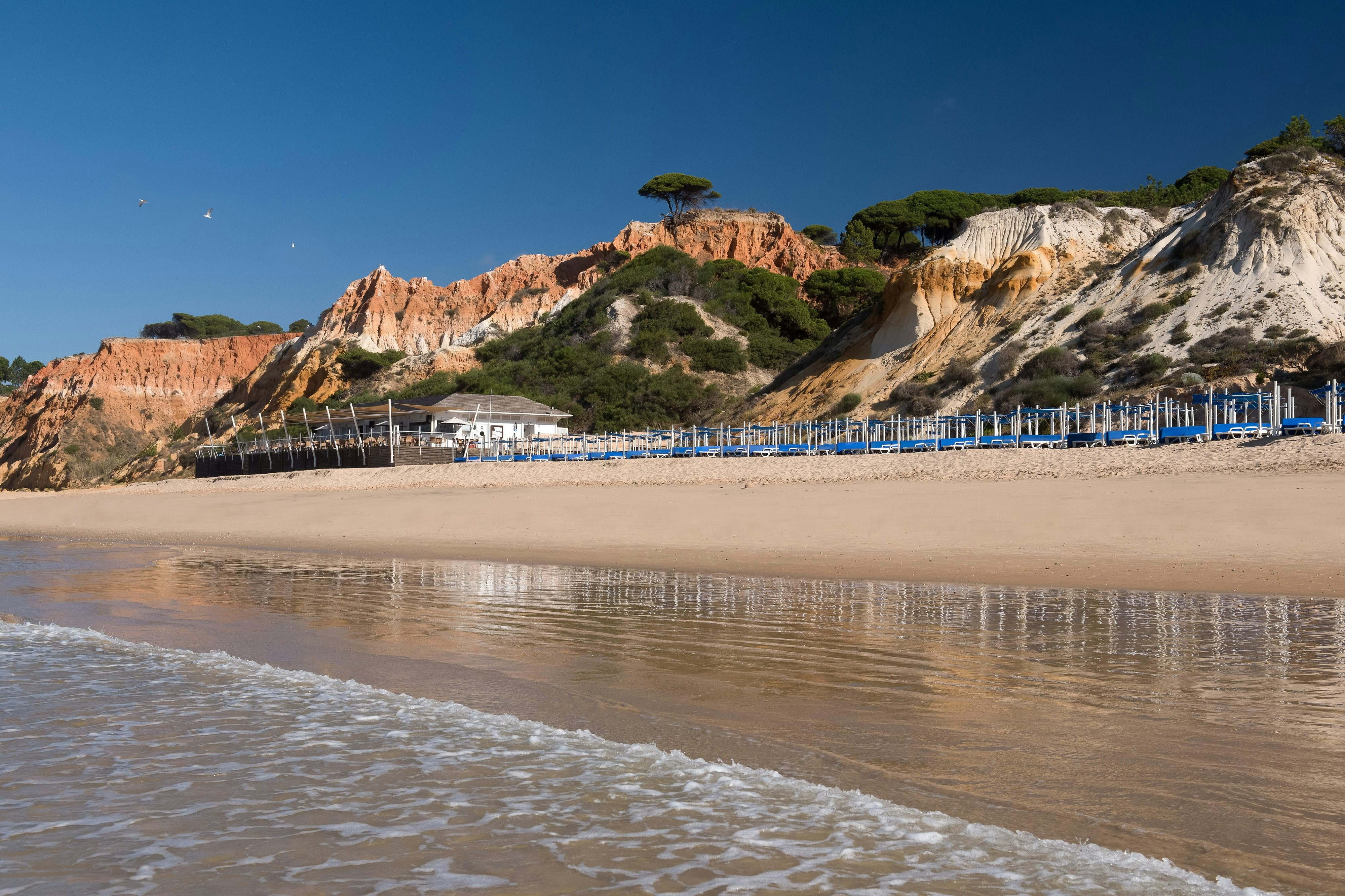 PINE CLIFFS RESIDENCE, A LUXURY COLLECTION RESORT 40/50