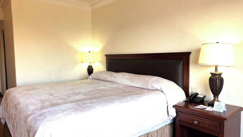 Hotel Playa Mazatlan 37/50
