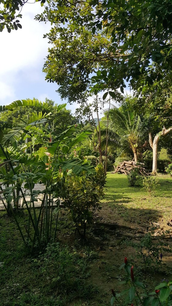 The Royal Bamboo Lodge 41/50