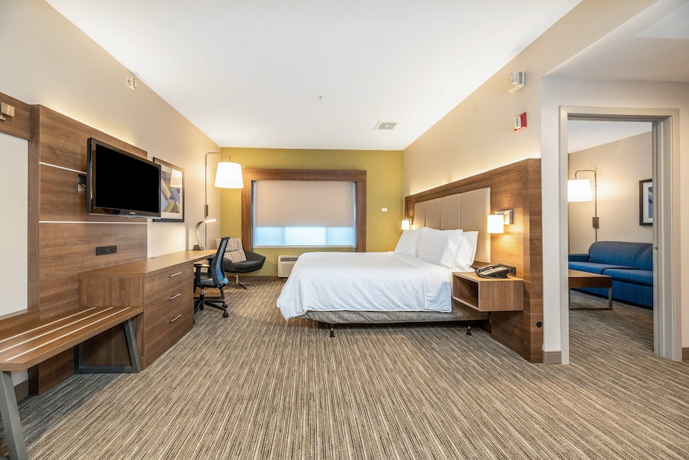 Holiday Inn Express Hotel And Suites Fremont Milpitas Central 20/69