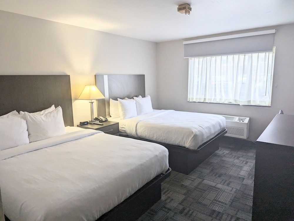 STUDIO, SUITE, 2 QUEEN BEDS