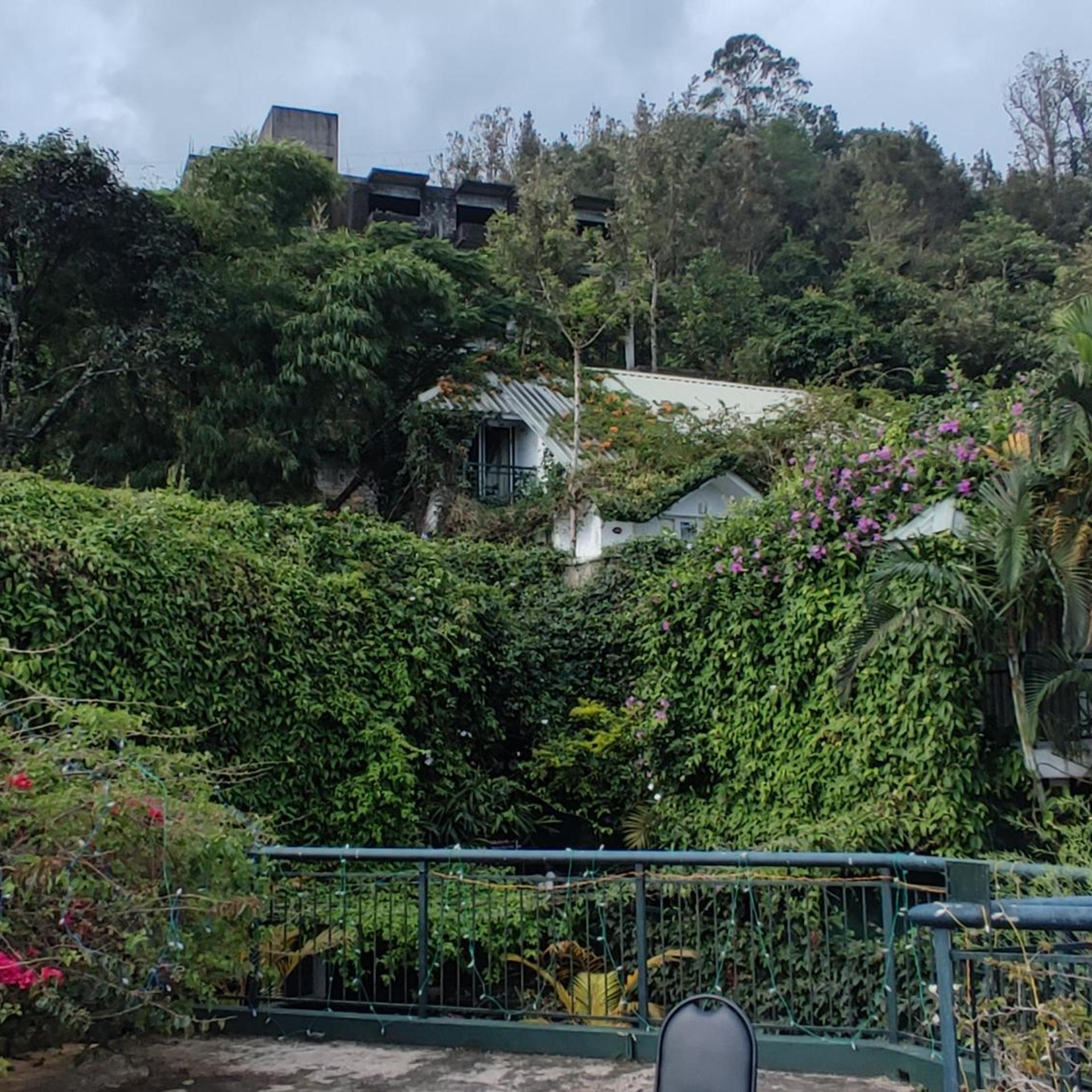 Munnar Tea Country Resort 42/47
