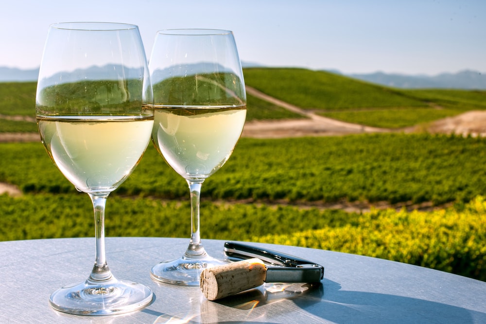 Hyatt Regency Sonoma Wine Country 24/65