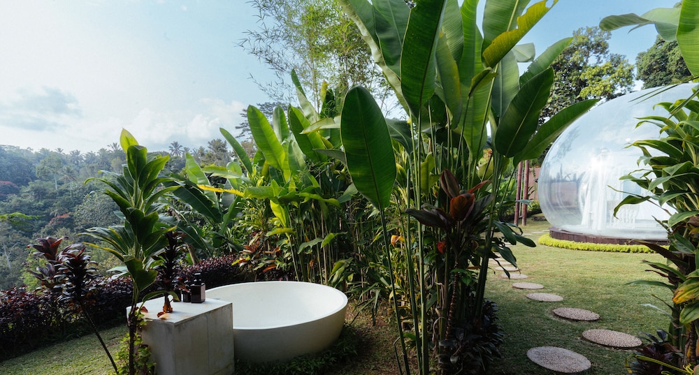 Bubble Hotel Bali Ubud 39/50