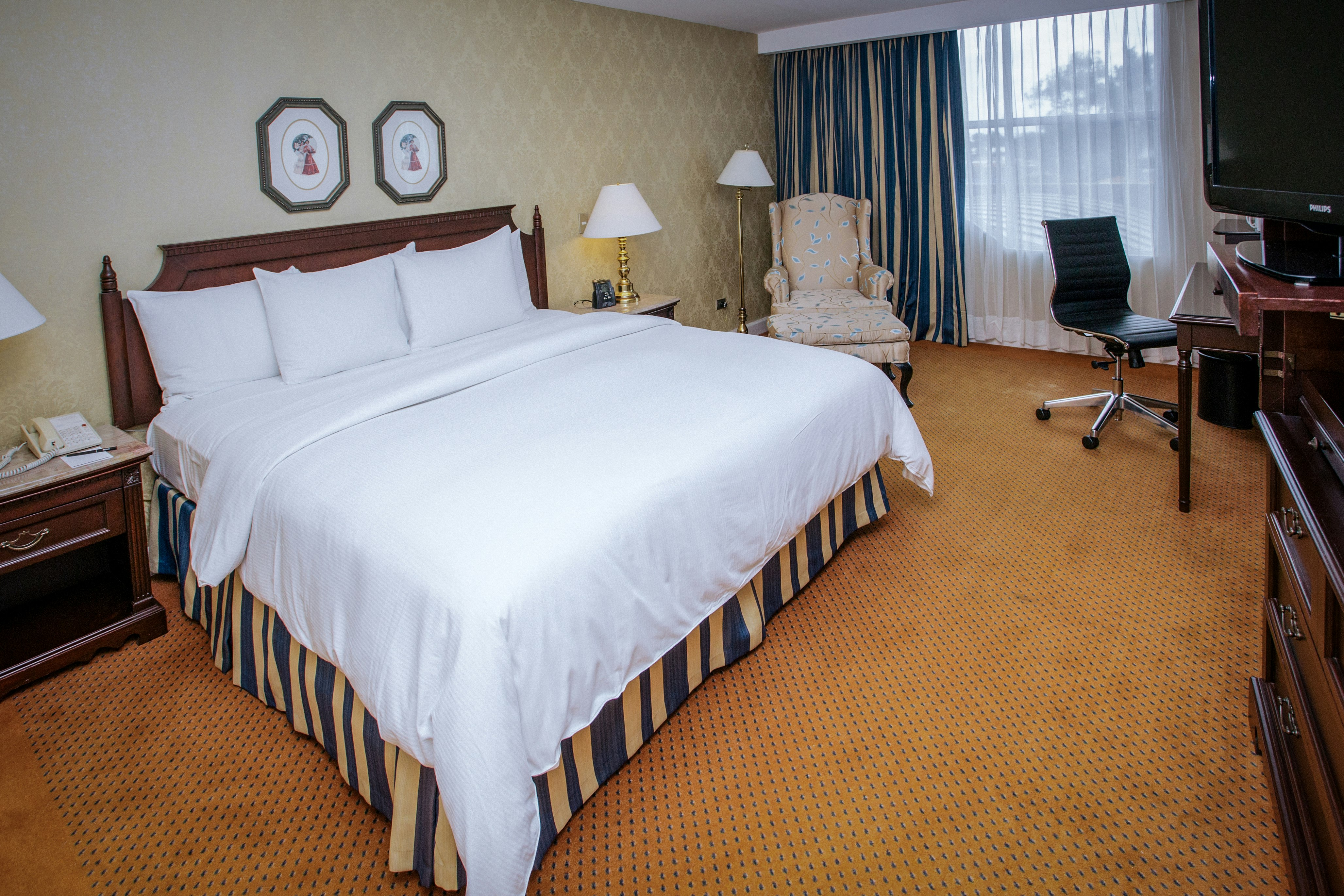 ROOM, KING BED, ACCESSIBLE