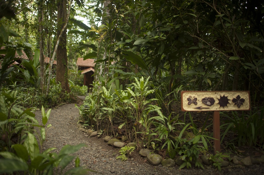 Tierra De Sueños Lodge And Wellness Center 44/50
