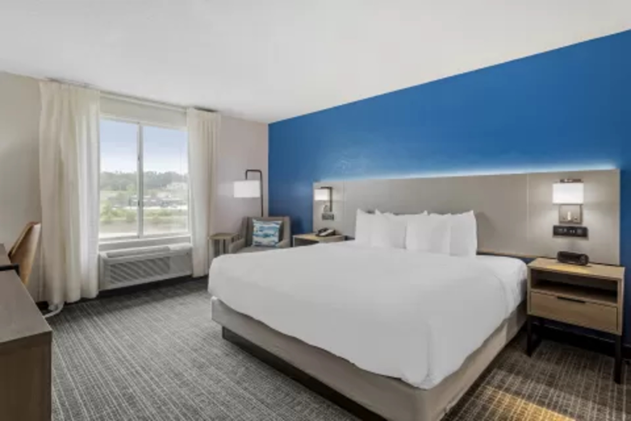 Suite, King Bed